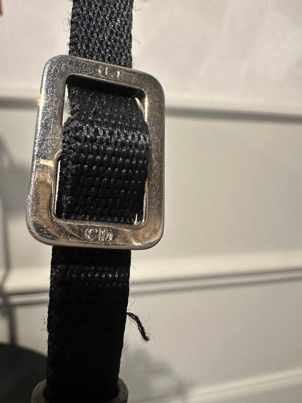 Vintage Trotter Pochette Shoulder Bag Diorissimo Canvas Small hobo bag blue monogram vintage pull tag 2000s pochette