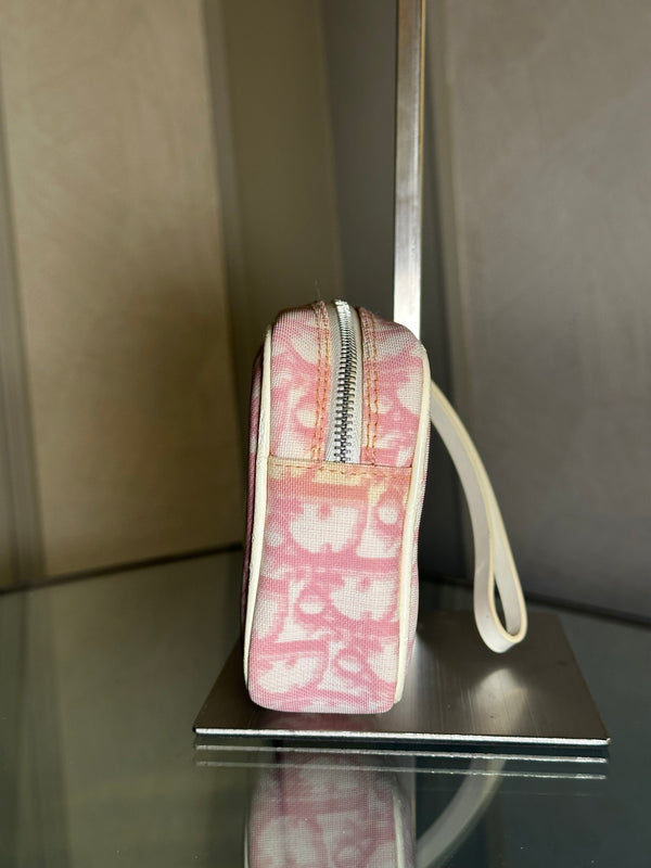 Dior Vanity Purse