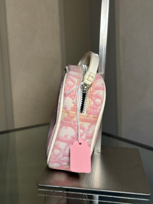 Dior Vanity Purse